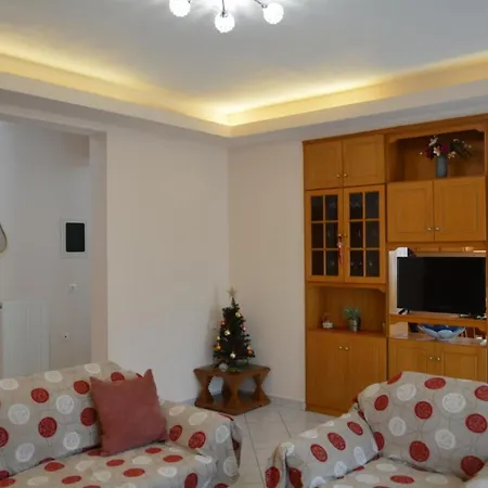Vaso'S House At Meteora Apartment